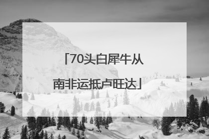 70头白犀牛从南非运抵卢旺达