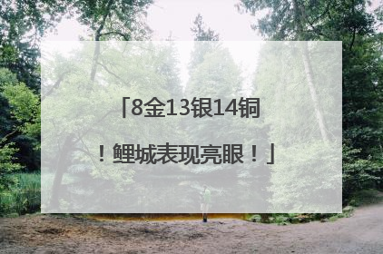 8金13银14铜！鲤城表现亮眼！