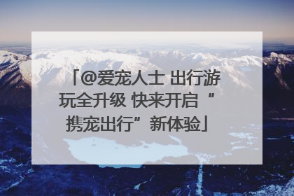 @爱宠人士 出行游玩全升级 快来开启“携宠出行”新体验