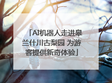 AI机器人走进皋兰什川古梨园 为游客提供新奇体验