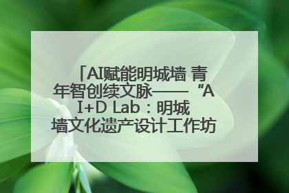 AI赋能明城墙 青年智创续文脉——“AI+D Lab：明城墙文化遗产设计工作坊”在南京开营