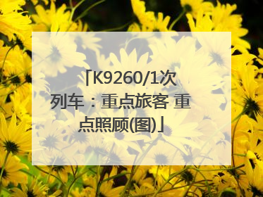 K9260/1次列车：重点旅客 重点照顾(图)