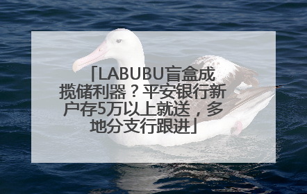 LABUBU盲盒成揽储利器？平安银行新户存5万以上就送，多地分支行跟进