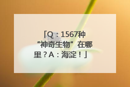 Q：1567种“神奇生物”在哪里？A：海淀！
